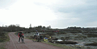 P5030035.jpg